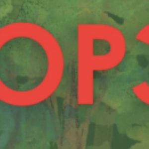 Evento paralelo oficial de la COP30: “Promoción de enfoques liderados por la comunidad y justicia climática en el Informe del IPCC sobre el cambio climático y las ciudades”